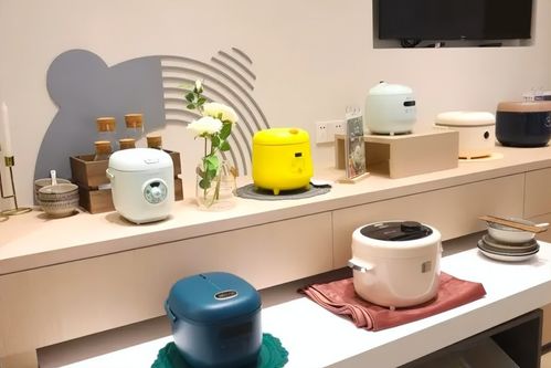 二季度業績放緩，小熊電器需要護城河